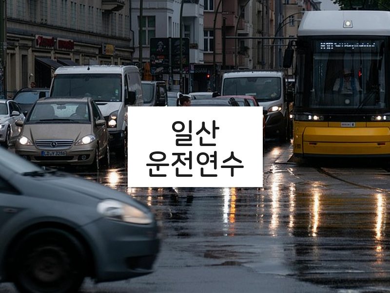 일산운전연수 후기