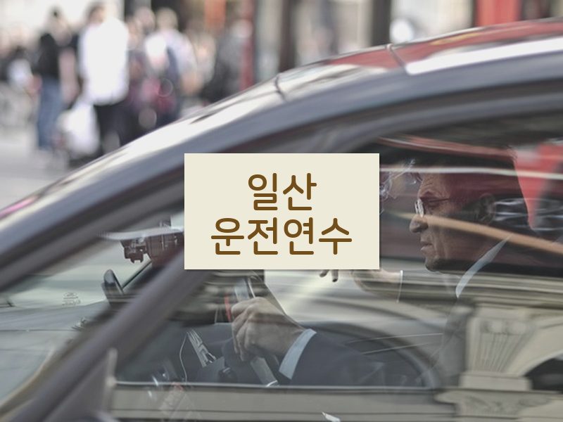 일산운전연수 후기