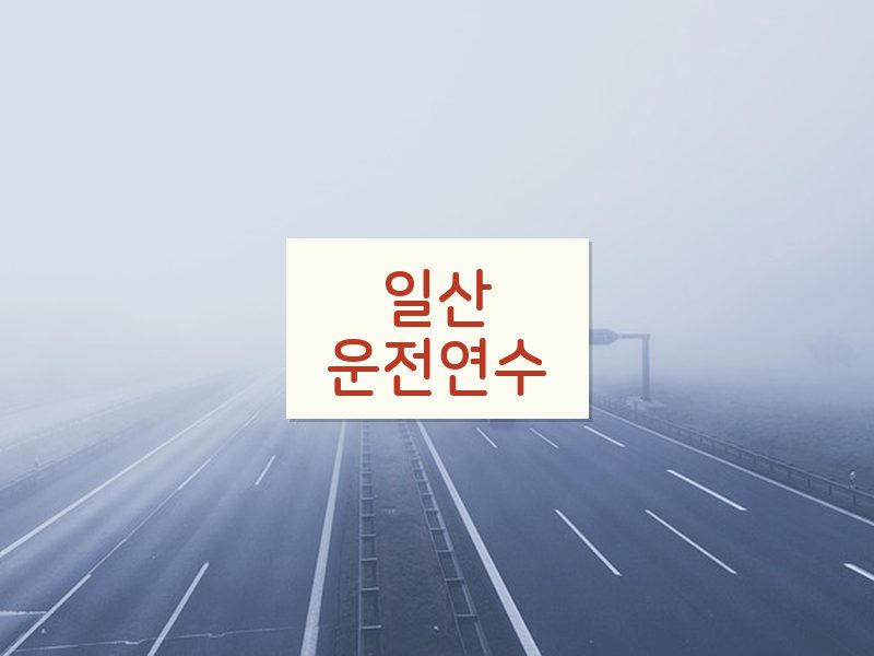 일산운전연수 후기
