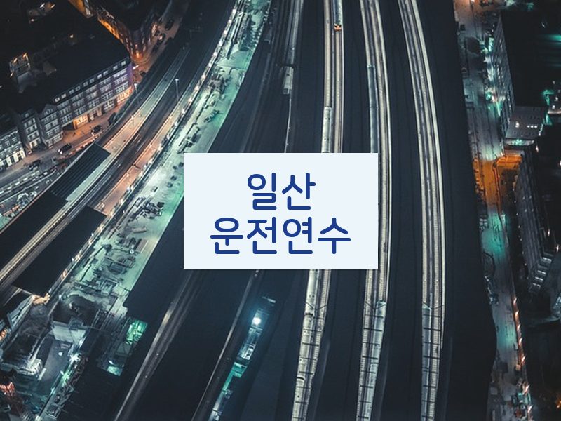 일산운전연수 후기