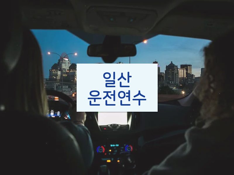 일산운전연수 후기