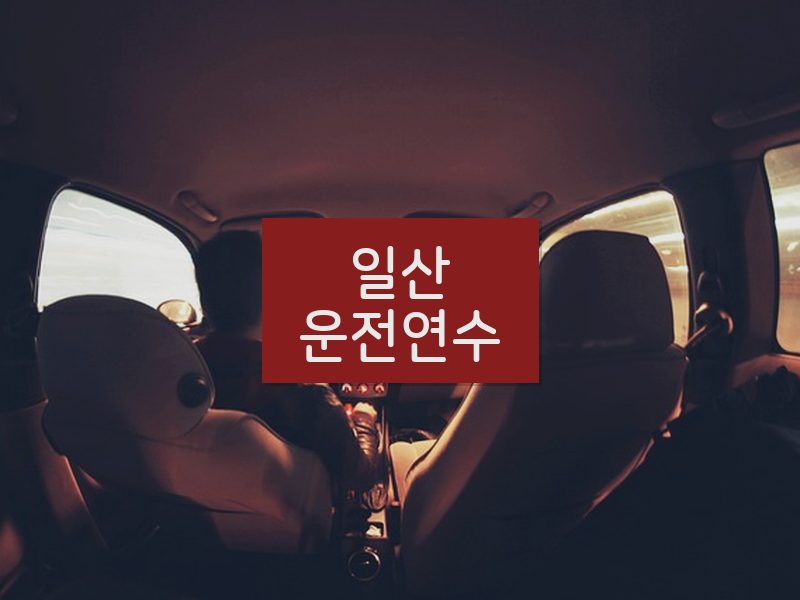 일산운전연수 후기