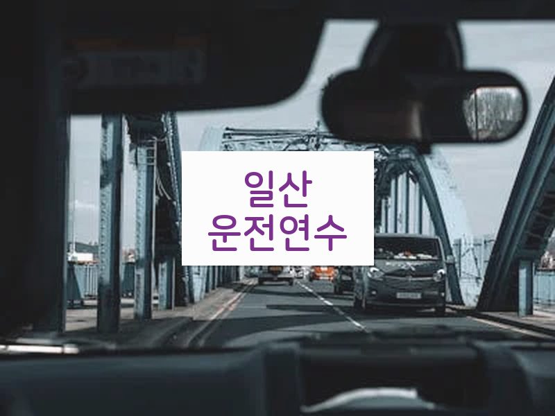 일산운전연수 후기