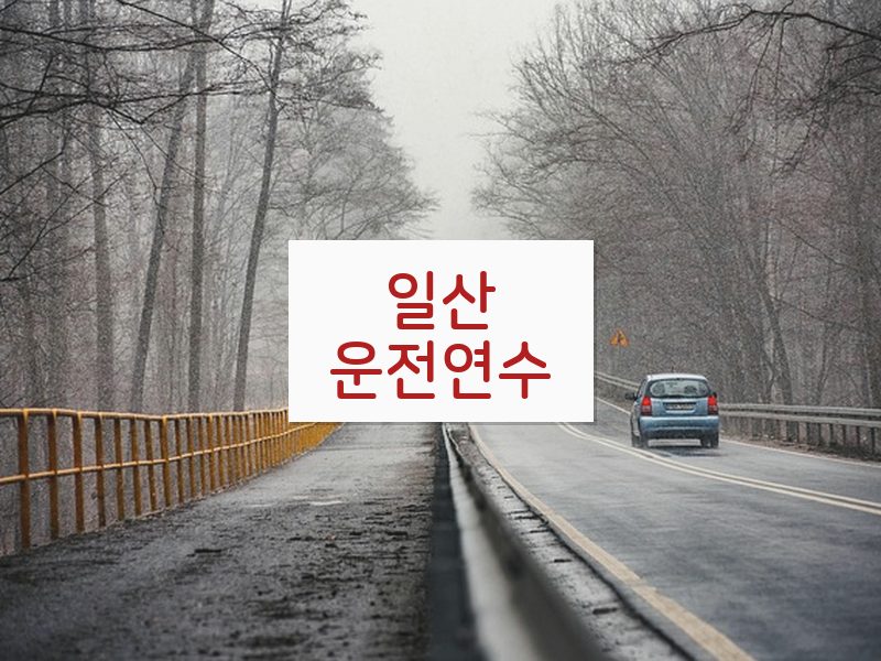 일산운전연수 후기