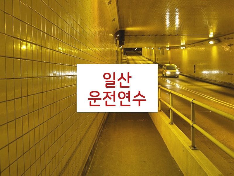 일산운전연수 후기