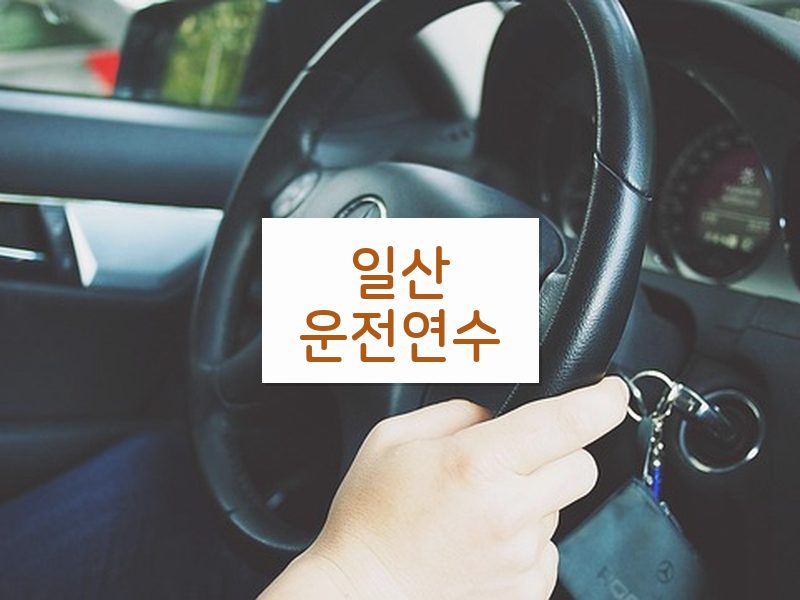 일산운전연수 후기