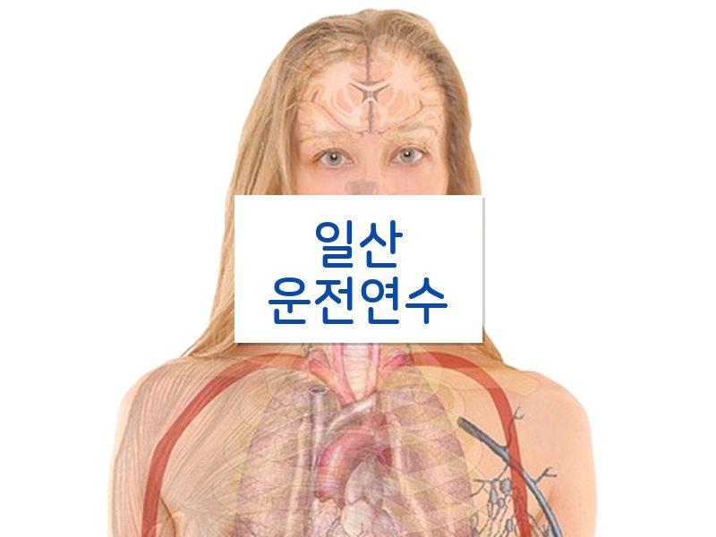 일산운전연수 후기