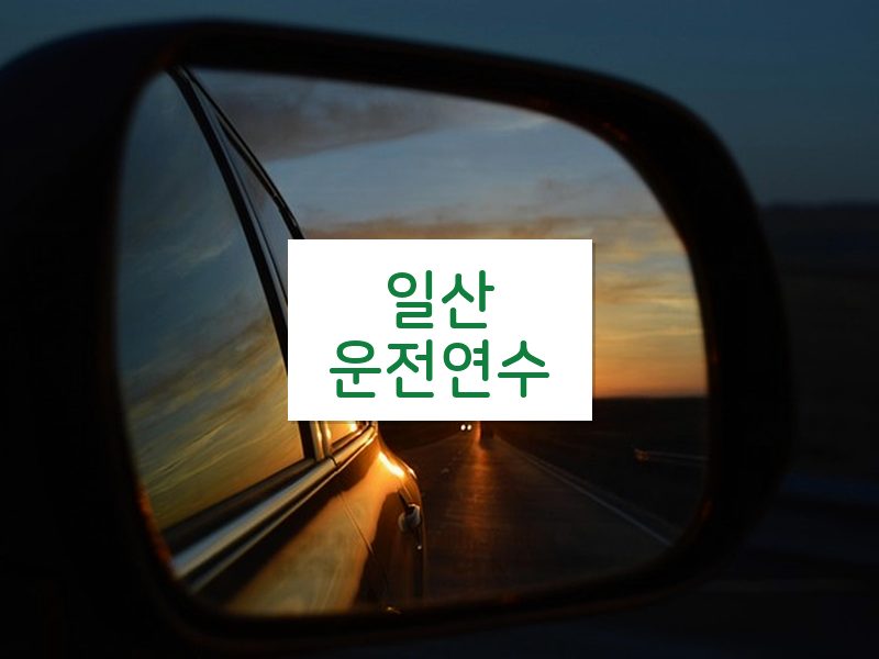 일산운전연수 후기