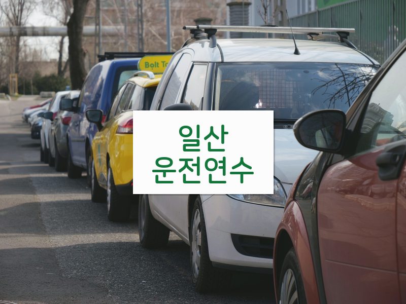 일산운전연수 후기