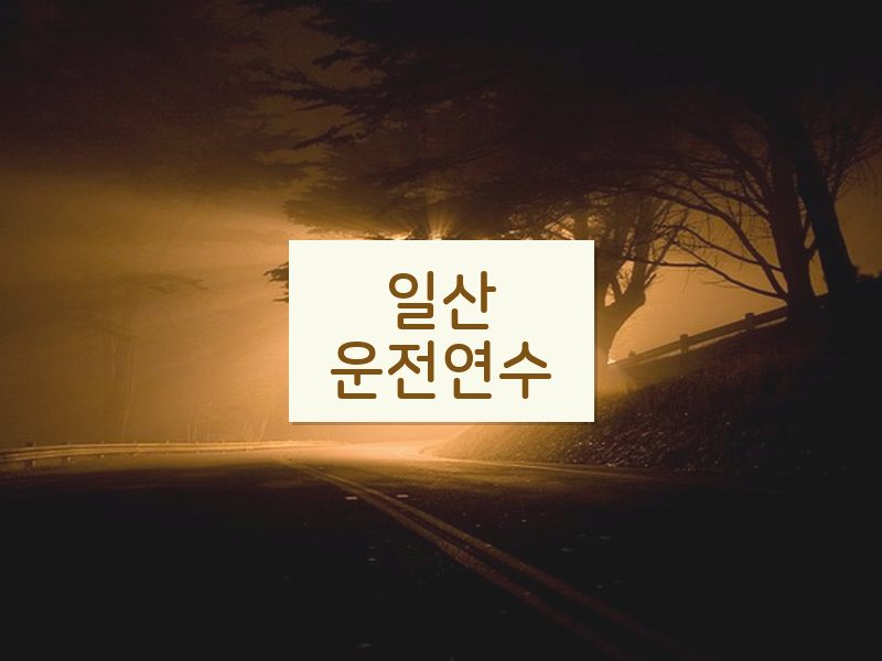 일산운전연수 후기