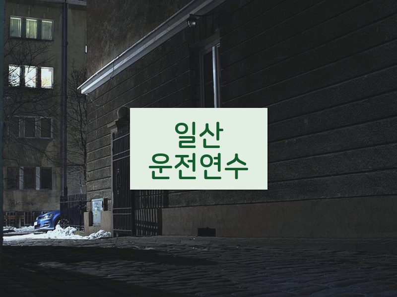 일산운전연수 후기