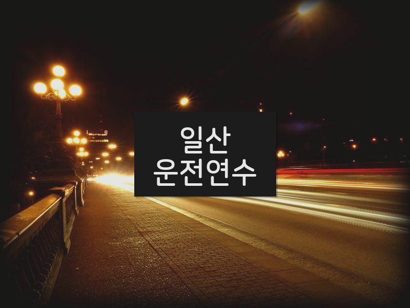 일산운전연수 후기