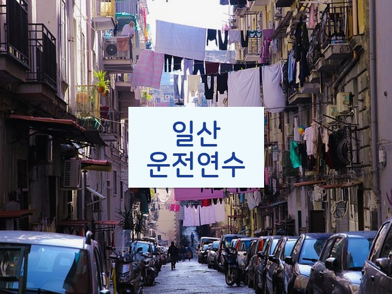 일산운전연수 후기