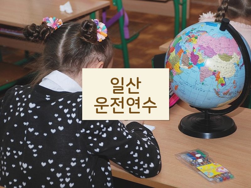 일산운전연수 후기