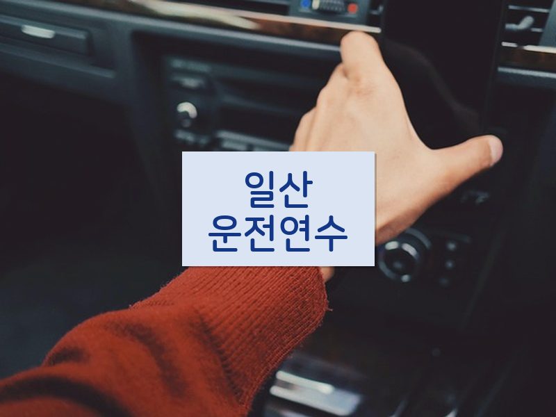 일산운전연수 후기