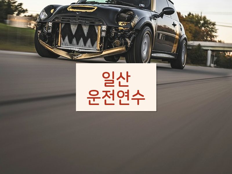 일산운전연수 후기