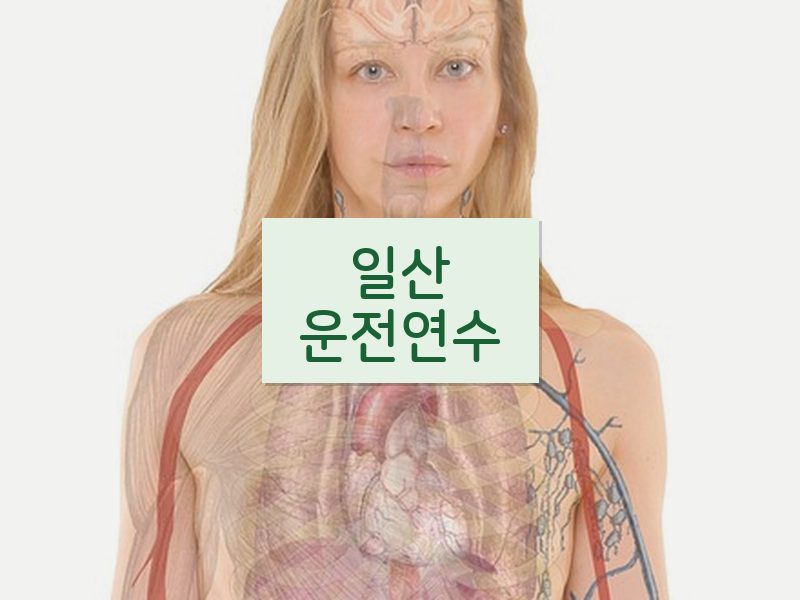 일산운전연수 후기