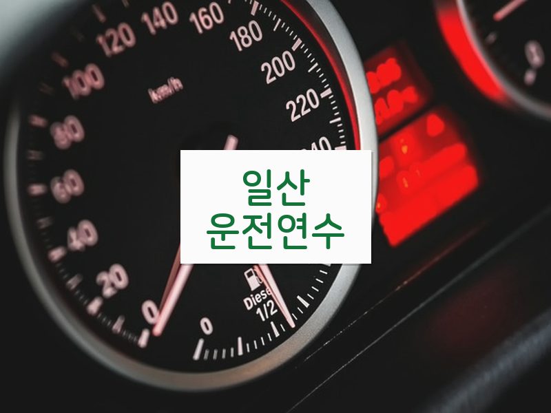 일산운전연수 후기