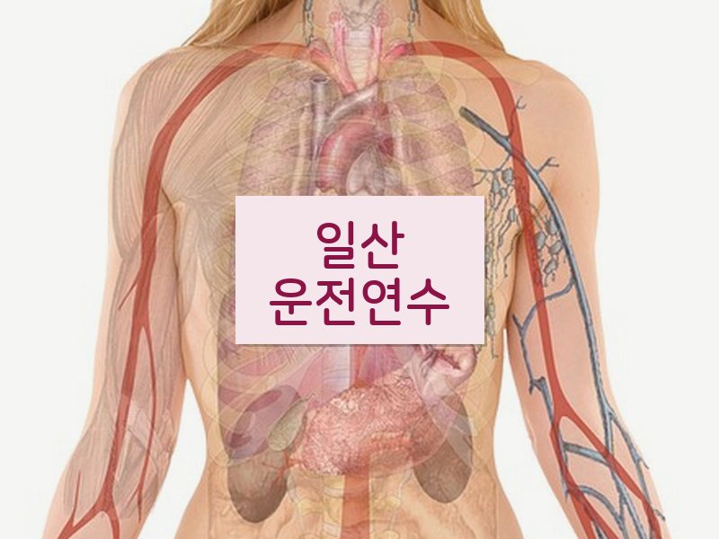 일산운전연수 후기
