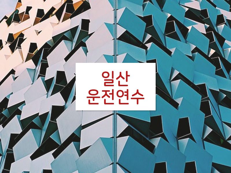 일산운전연수 후기