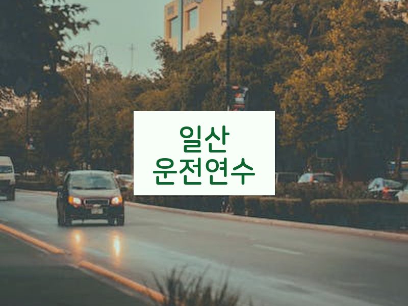 일산운전연수 후기