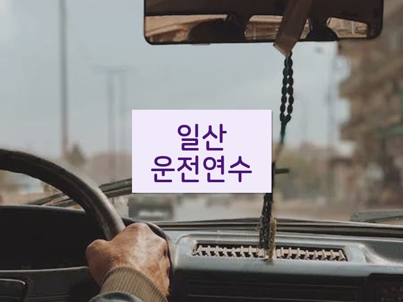 일산운전연수 후기