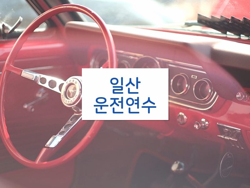 일산운전연수 후기