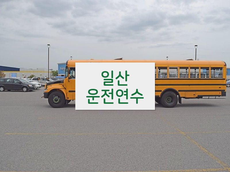 일산운전연수 후기