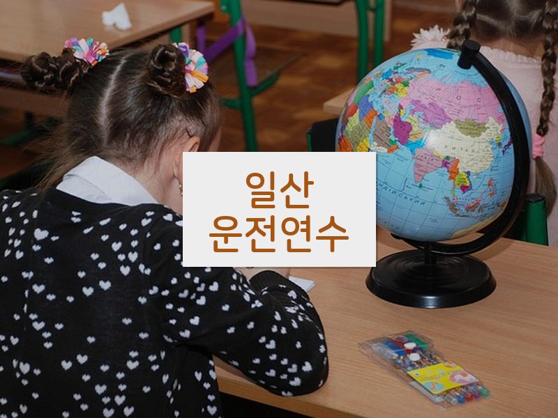 일산운전연수 후기