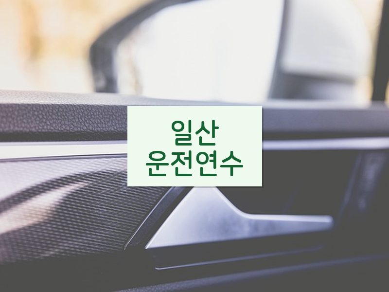 일산운전연수 후기