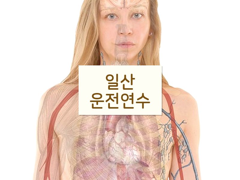 일산운전연수 후기