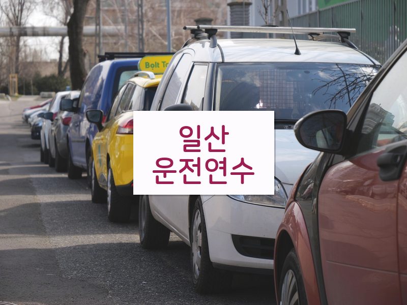 일산운전연수 후기