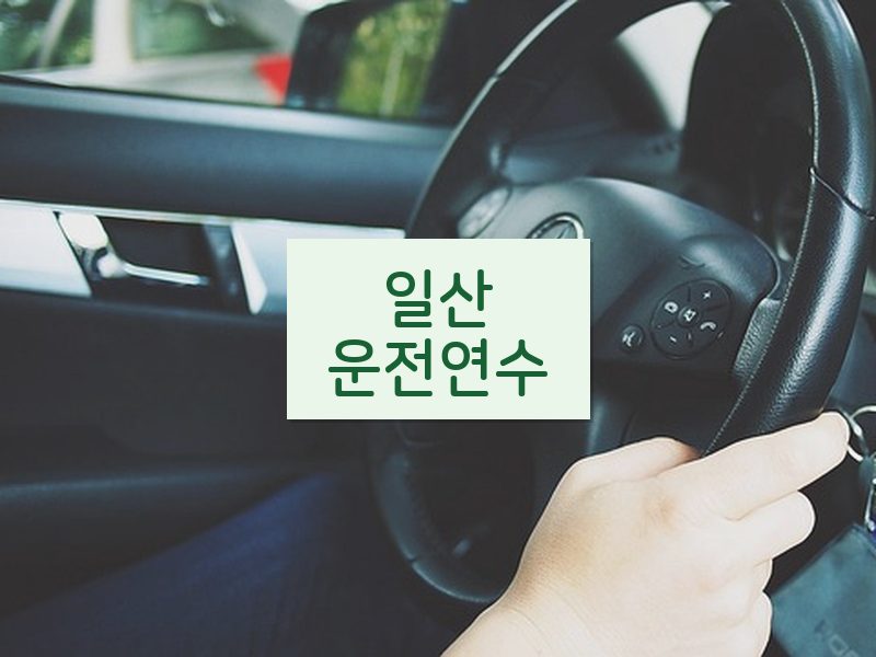 일산운전연수 후기