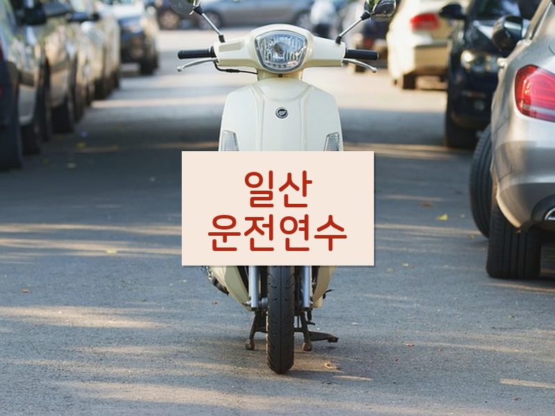 일산운전연수 후기