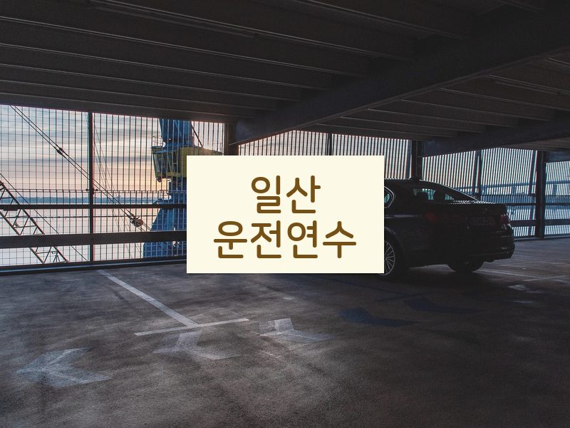 일산운전연수 후기