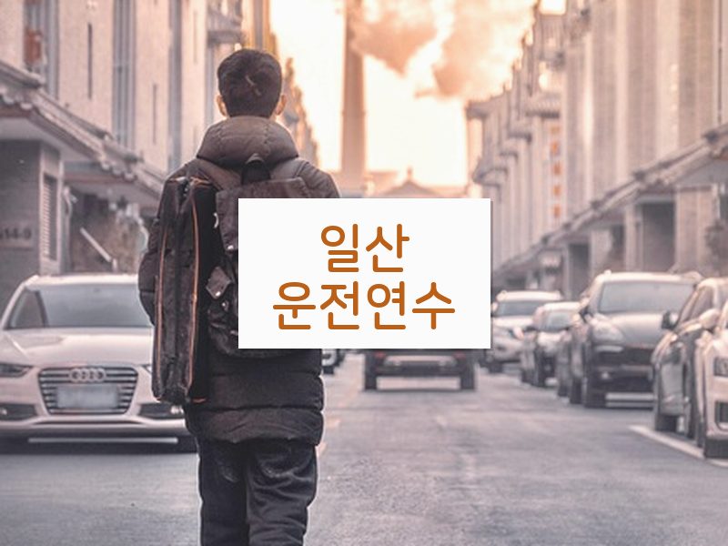 일산운전연수 후기