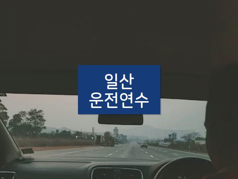 일산운전연수 후기