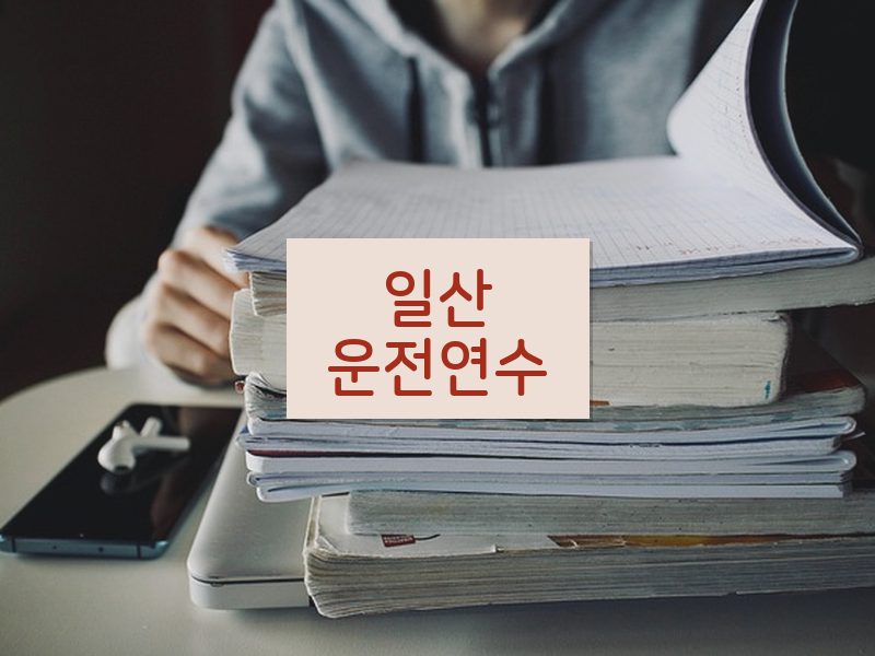 일산운전연수 후기