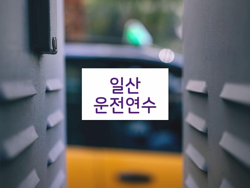 일산운전연수 후기