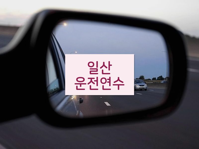 일산운전연수 후기