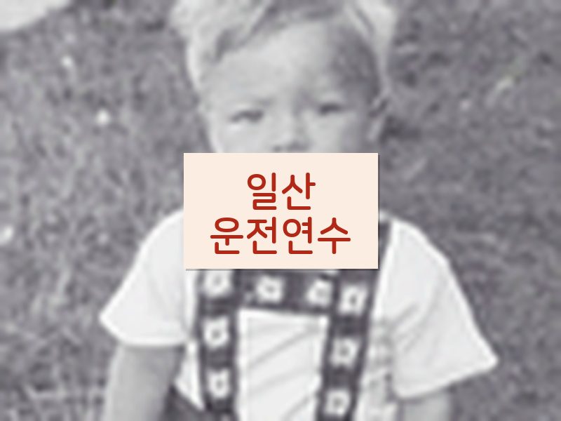 일산운전연수 후기
