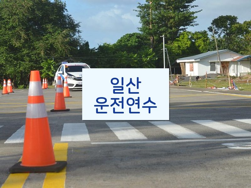 일산운전연수 후기