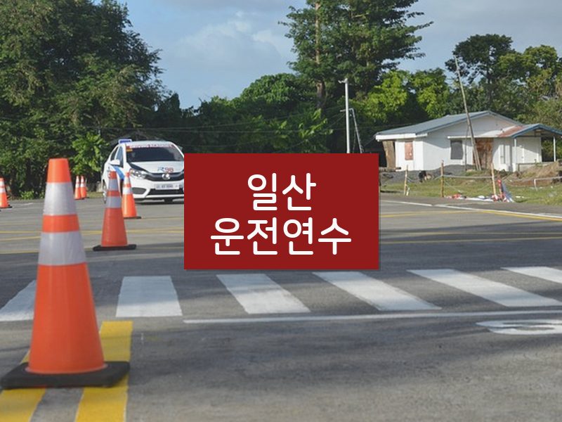 일산운전연수 후기