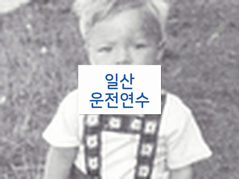 일산운전연수 후기
