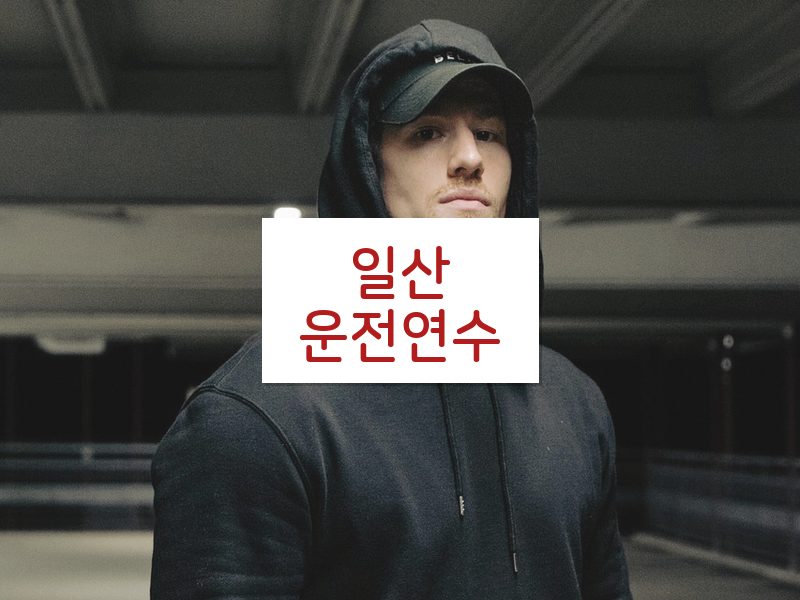 일산운전연수 후기