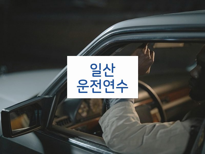 일산운전연수 후기