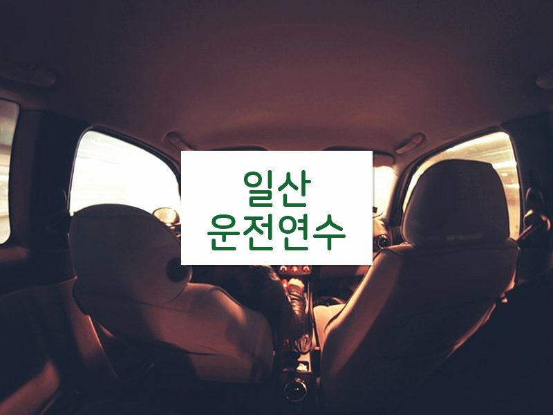 일산운전연수 후기