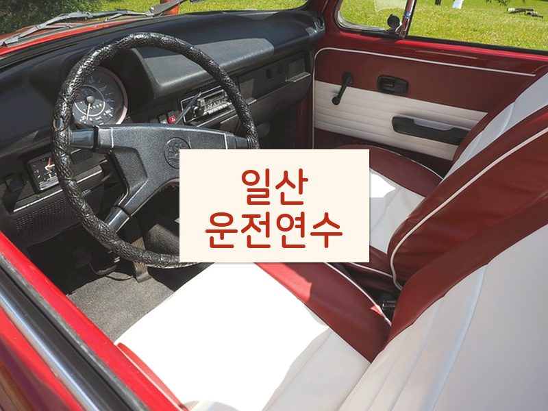 일산운전연수 후기