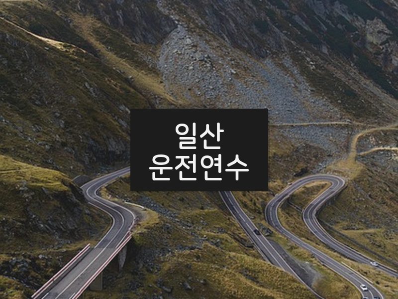 일산운전연수 후기