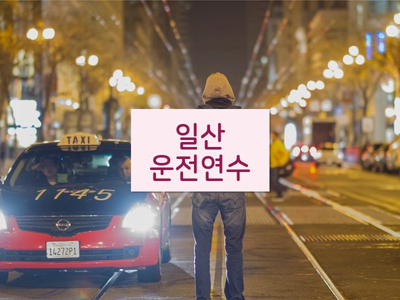 일산운전연수 후기